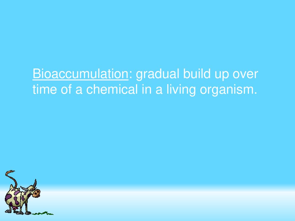 Energy Pyramids and Bioaccumulation ppt download