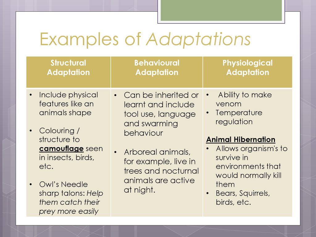 Unit 3 Evolution Chapters 7, 8, 9 - ppt download