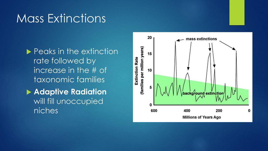 Mass Extinctions Peaks in the extinction rate followed by increase in the # of taxonomic families.