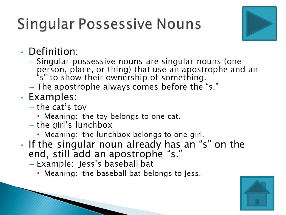 Singular Possessive Nouns