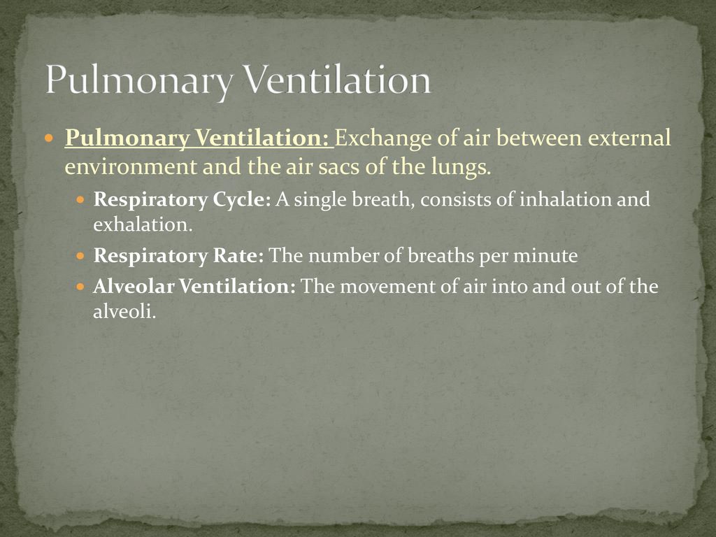 Respiratory System. - ppt download