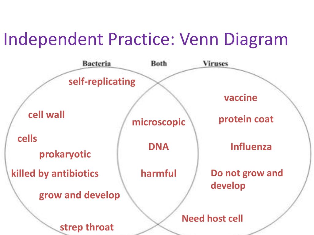 Virus And Cell Venn Diagram