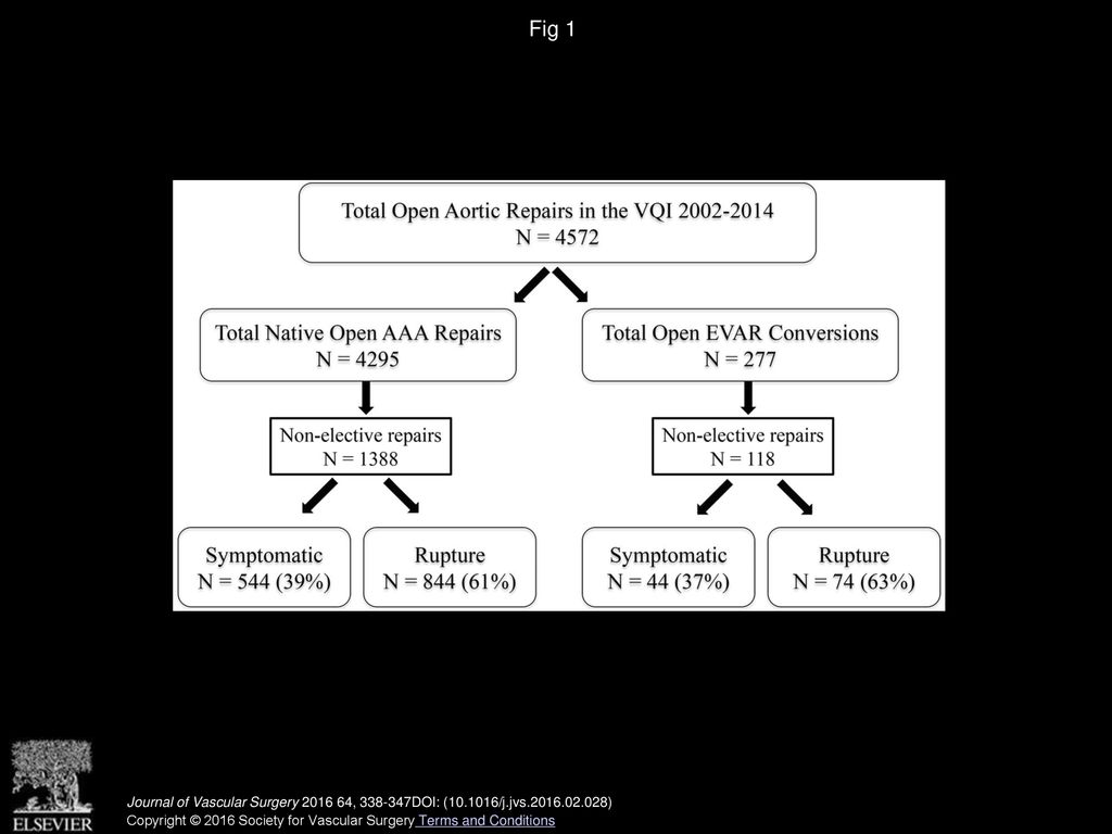 Outcomes after endovascular aneurysm repair conversion and primary ...