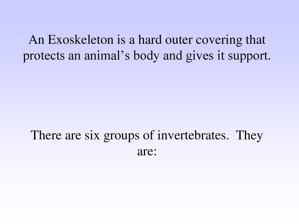Classification of Animals 9 Major Phyla - ppt download