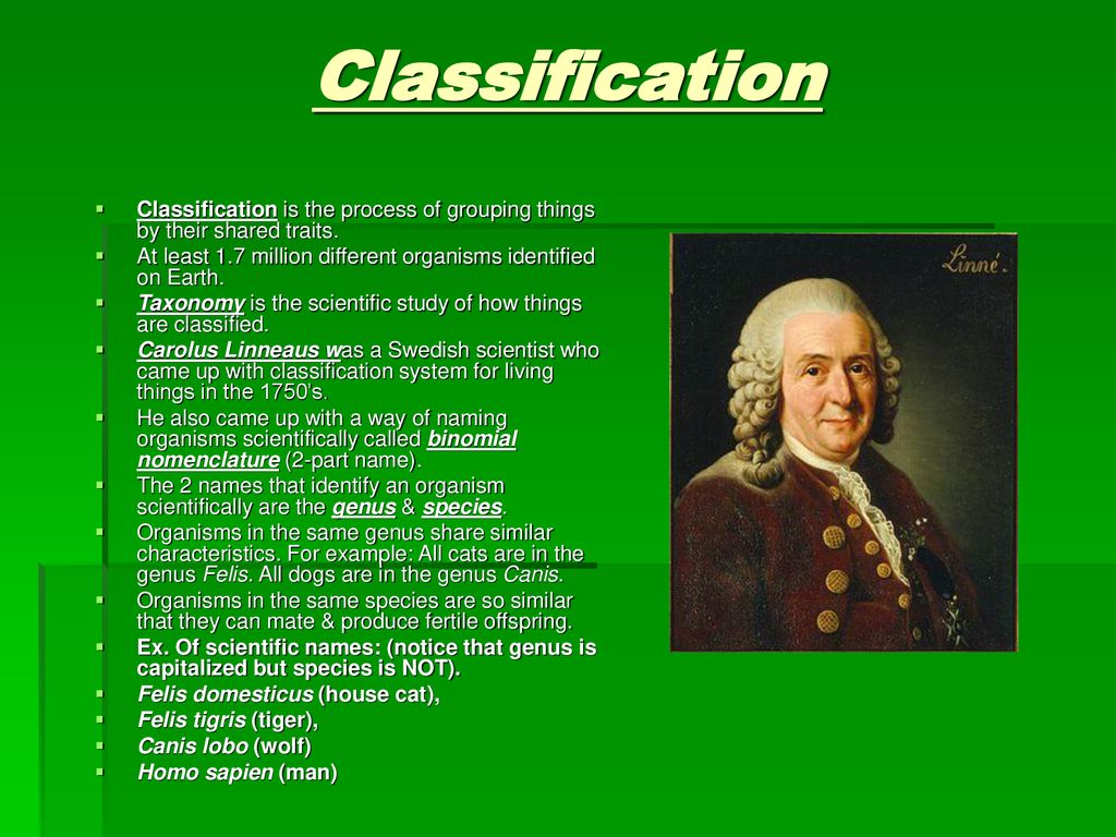 Biological Classification - ppt download