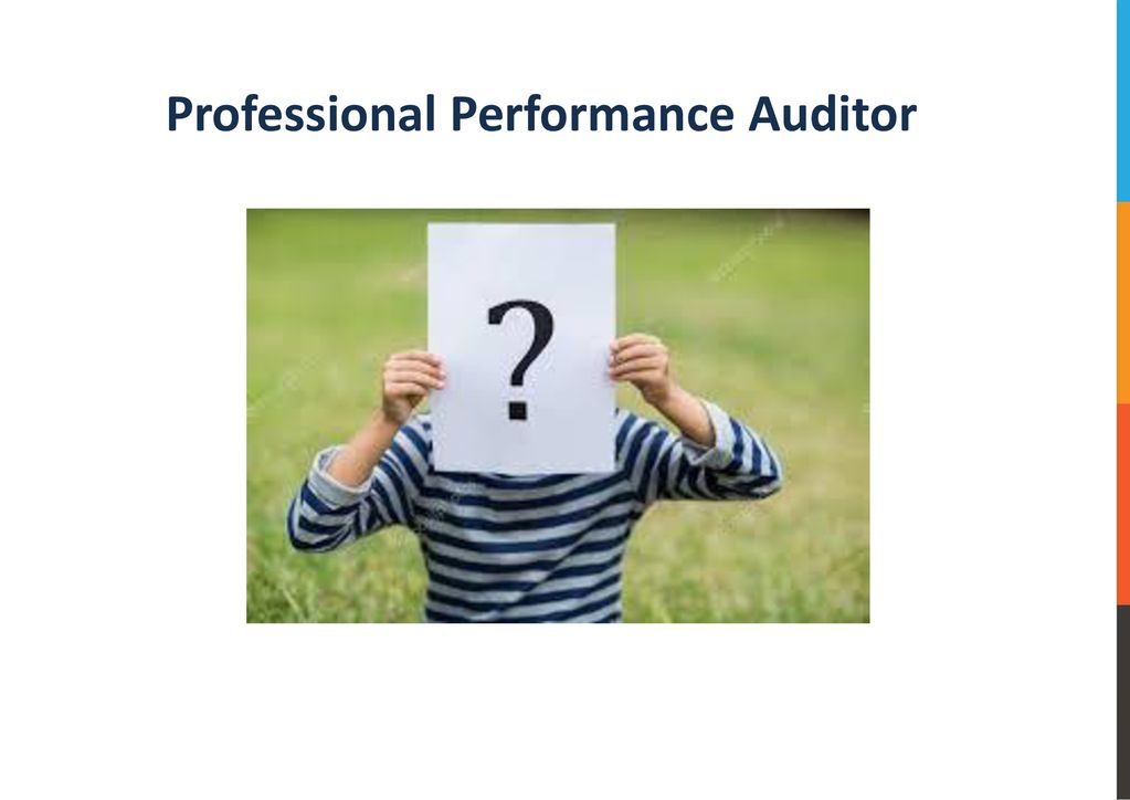 Professional Performance Auditor
