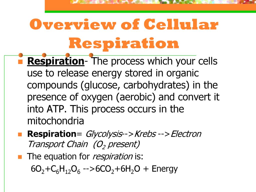 Cellular Respiration & Glycolysis - ppt download