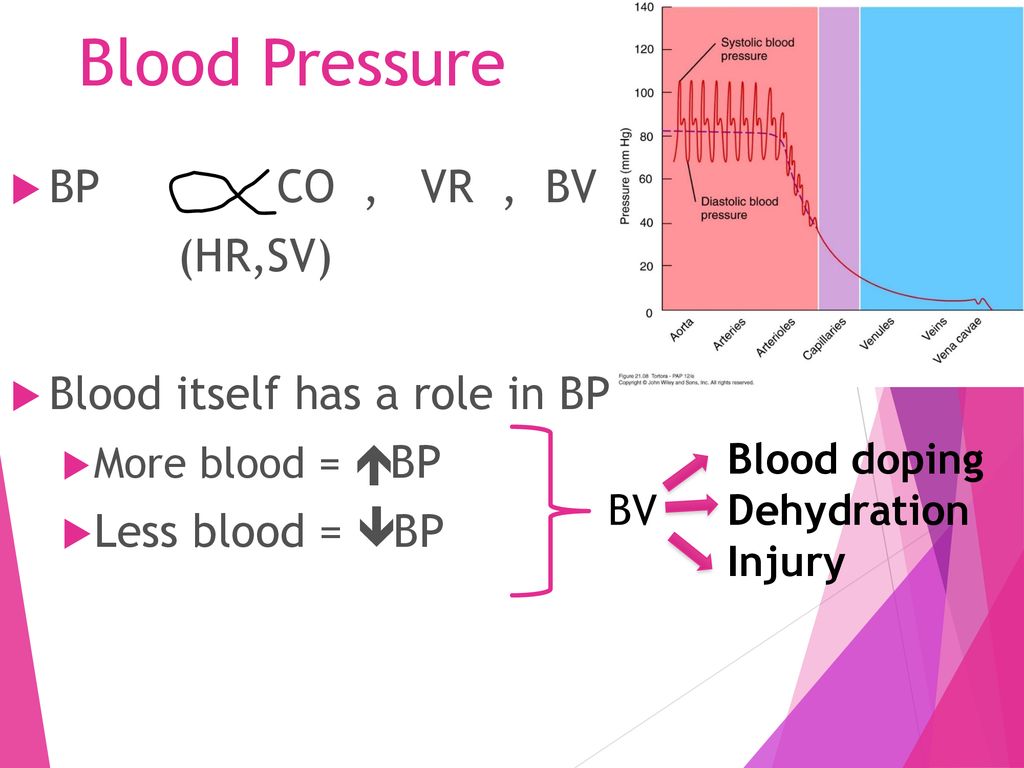 Capillary Exchange Diffusion Transcytosis Bulk Flow Ppt Download