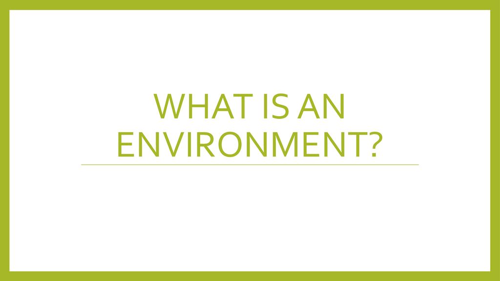 What is an Environment.