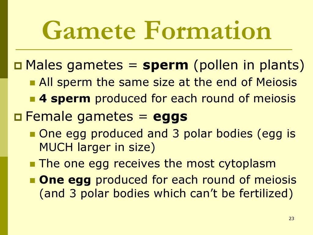 11–4 Meiosis The making of sex cells!. Biology Diagrams