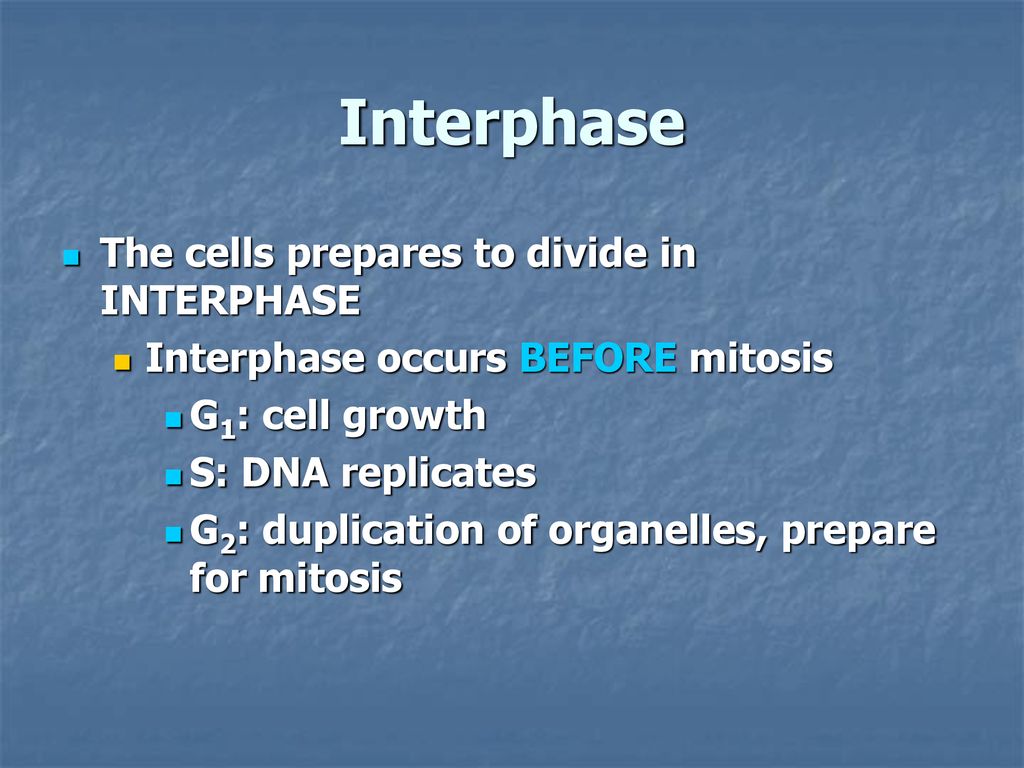 Mitosis When Cells Divide Biology Diagrams