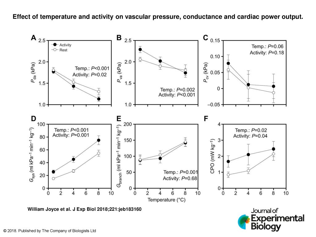 Effect of temperature and activity on vascular pressure conductance