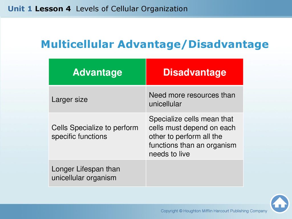 Multicellular Advantage/Disadvantage