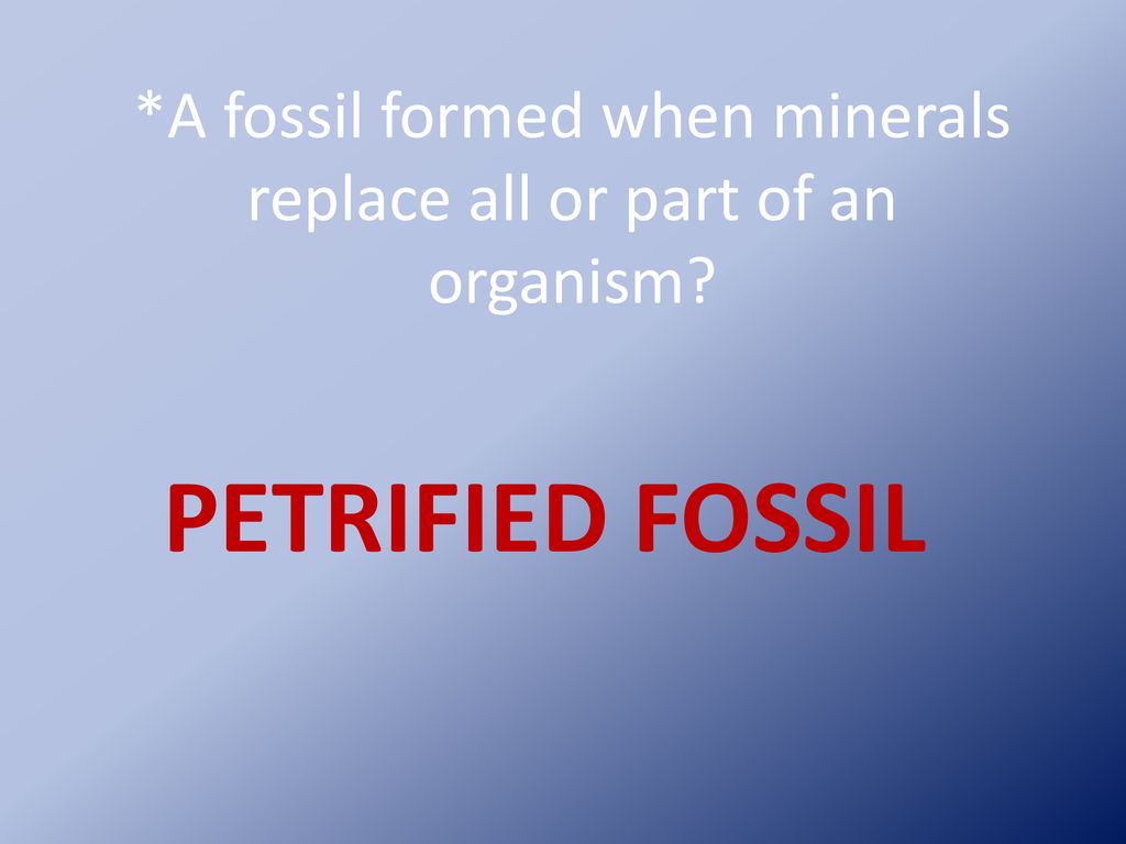*A fossil formed when minerals replace all or part of an organism