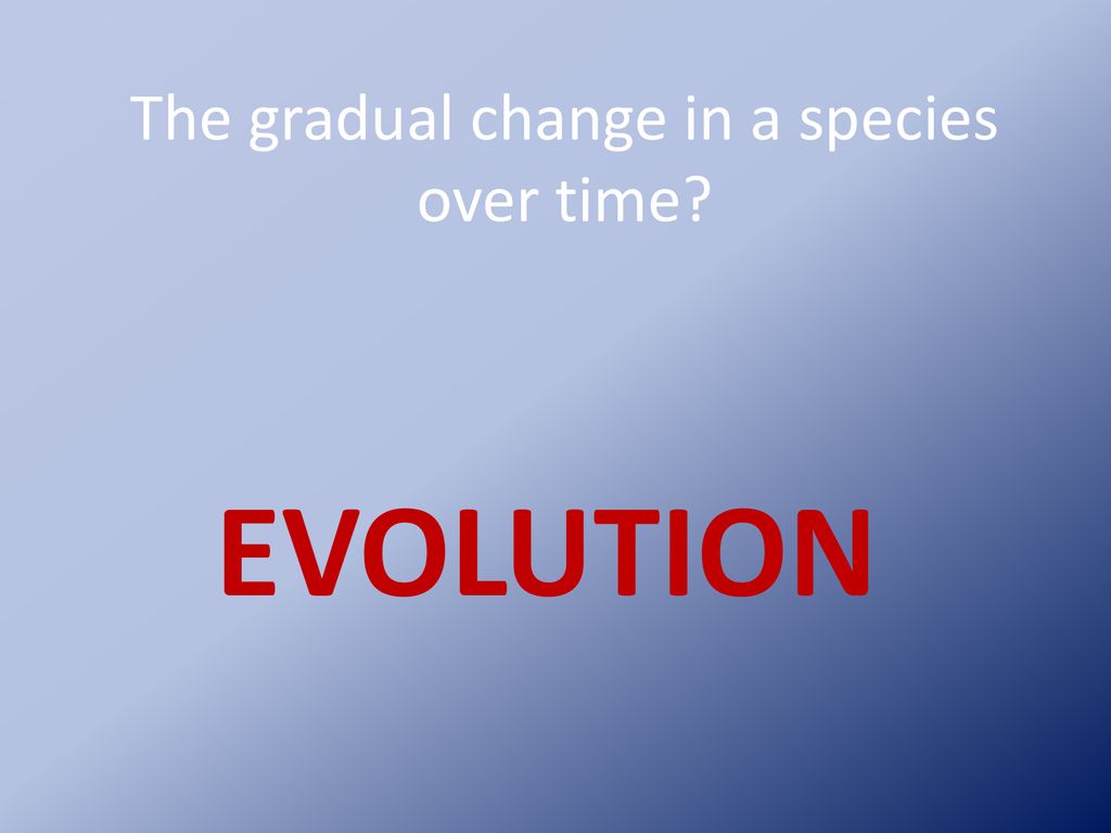 The gradual change in a species over time
