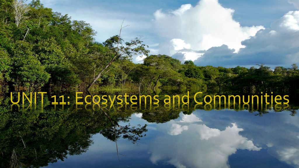 UNIT 11: Ecosystems and Communities - ppt download