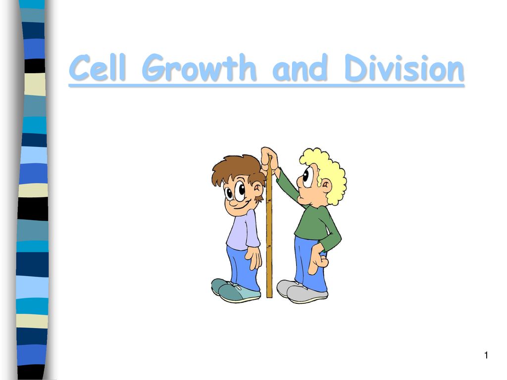 Cell Growth and Division Biology Diagrams