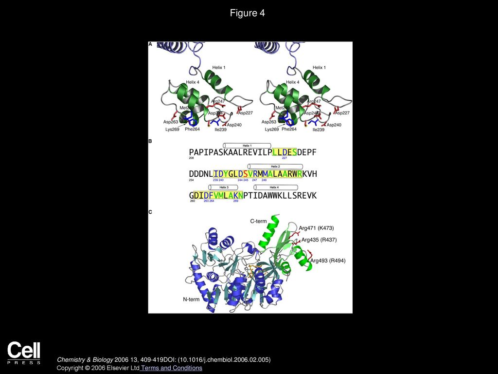 Structure Of The EntB Multidomain Nonribosomal Peptide Synthetase And Functional Analysis Of Its