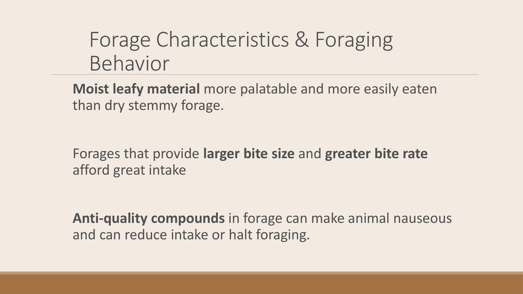 Herbivore Intake REM Integrated Rangeland Management - ppt download