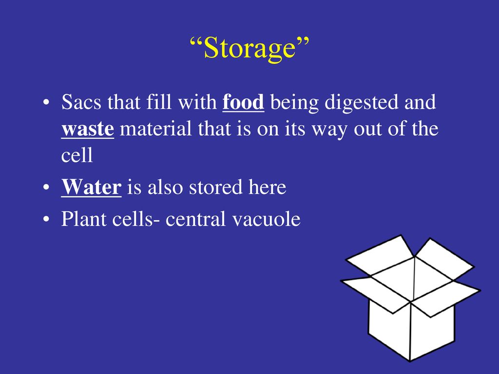 cells-the-basic-units-of-life-ppt-download