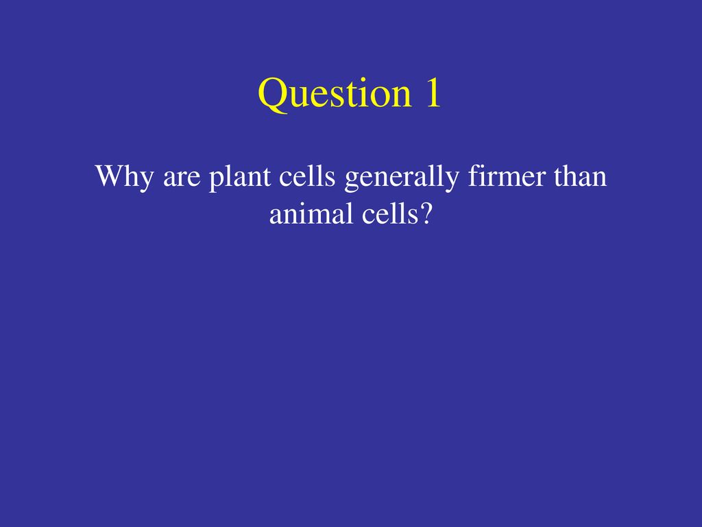 Cells The Basic Units Of Life Ppt Download cells-the-basic-units-of-life-ppt-download