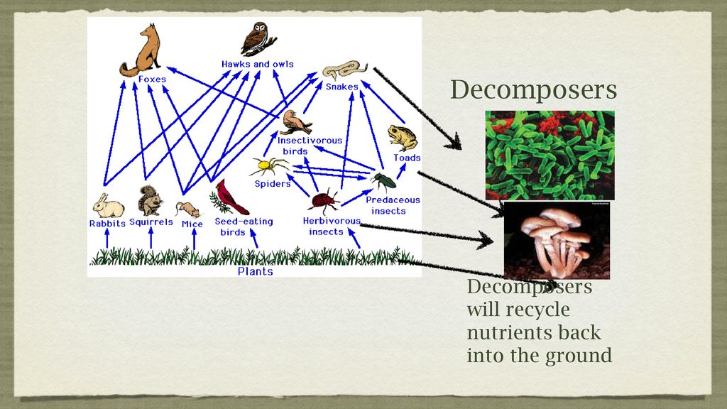What Do The Arrows Indicate Ppt Download what-do-the-arrows-indicate-ppt-download