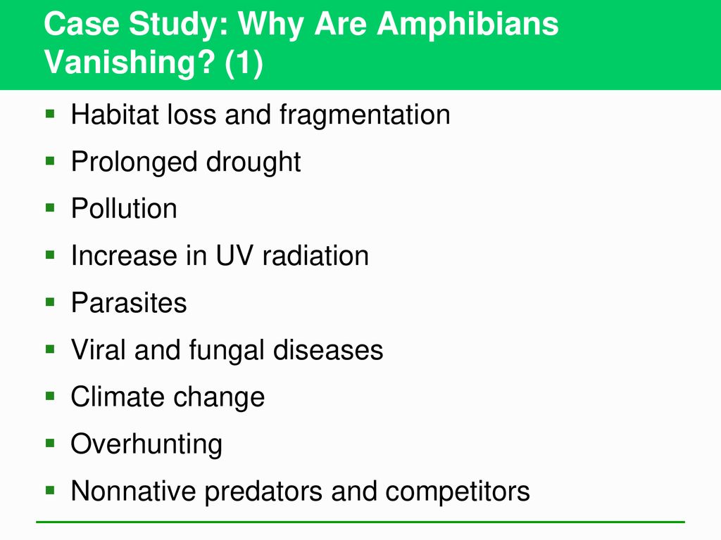 Biodiversity and Evolution - ppt download
