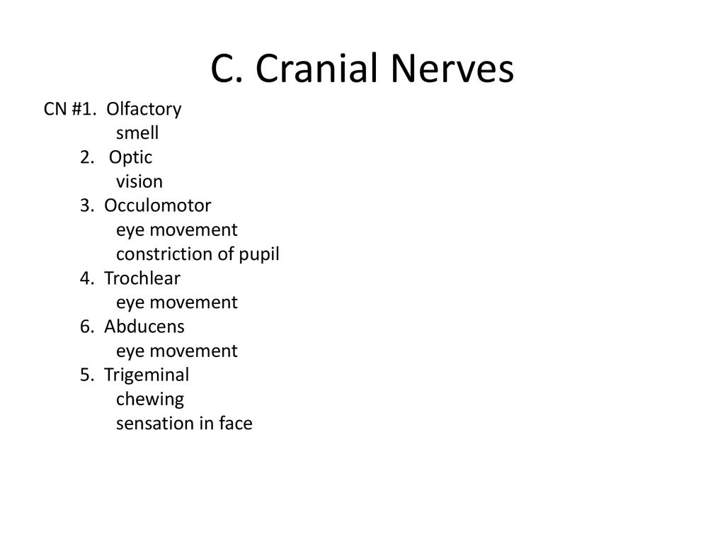 C. Cranial Nerves