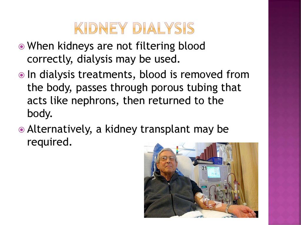 Urinary system ppt download
