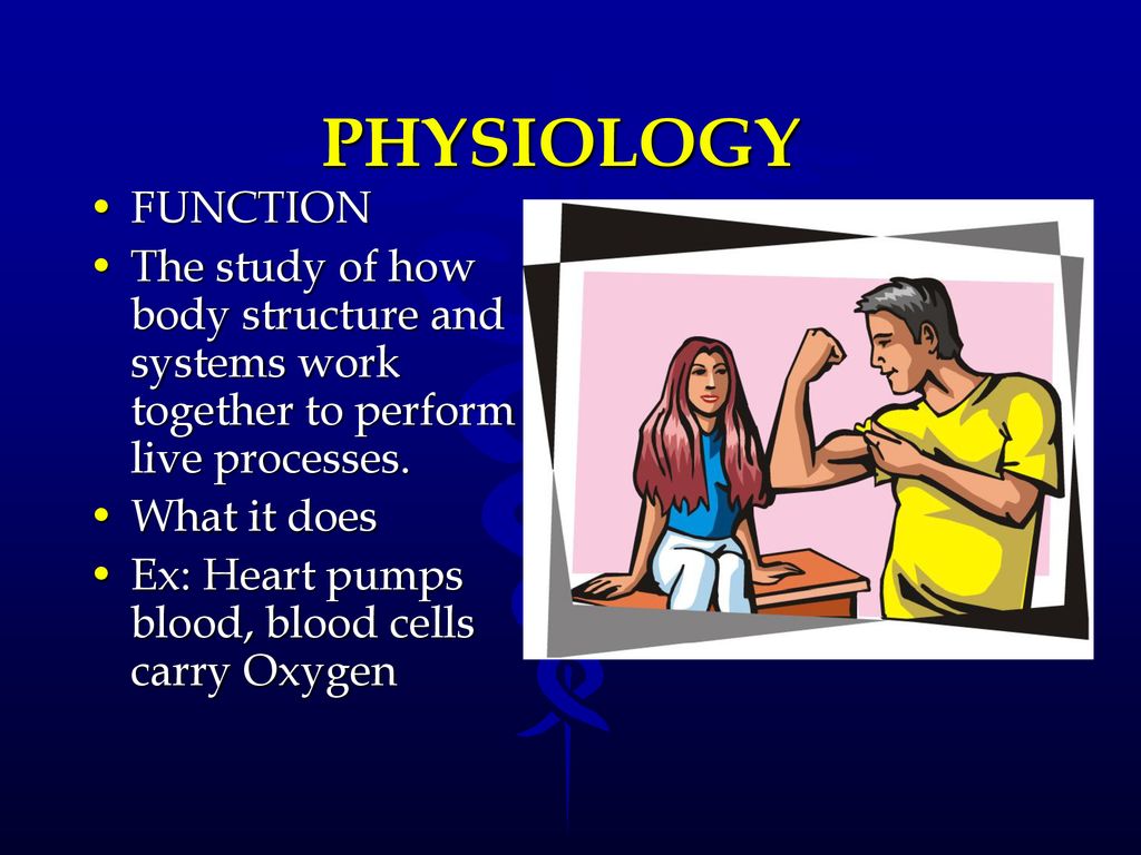 Concepts of ANATOMY and Biology Diagrams