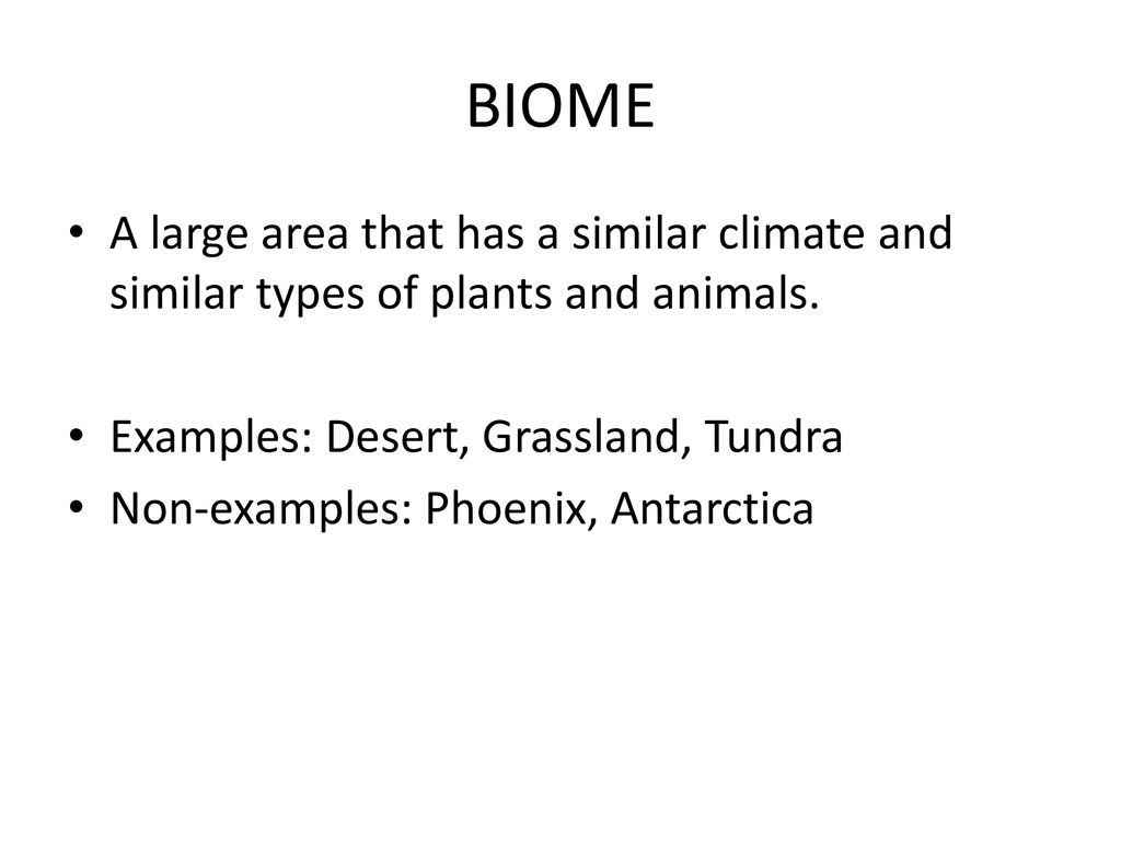 BIOME A large area that has a similar climate and similar types of plants and animals. Examples: Desert, Grassland, Tundra.