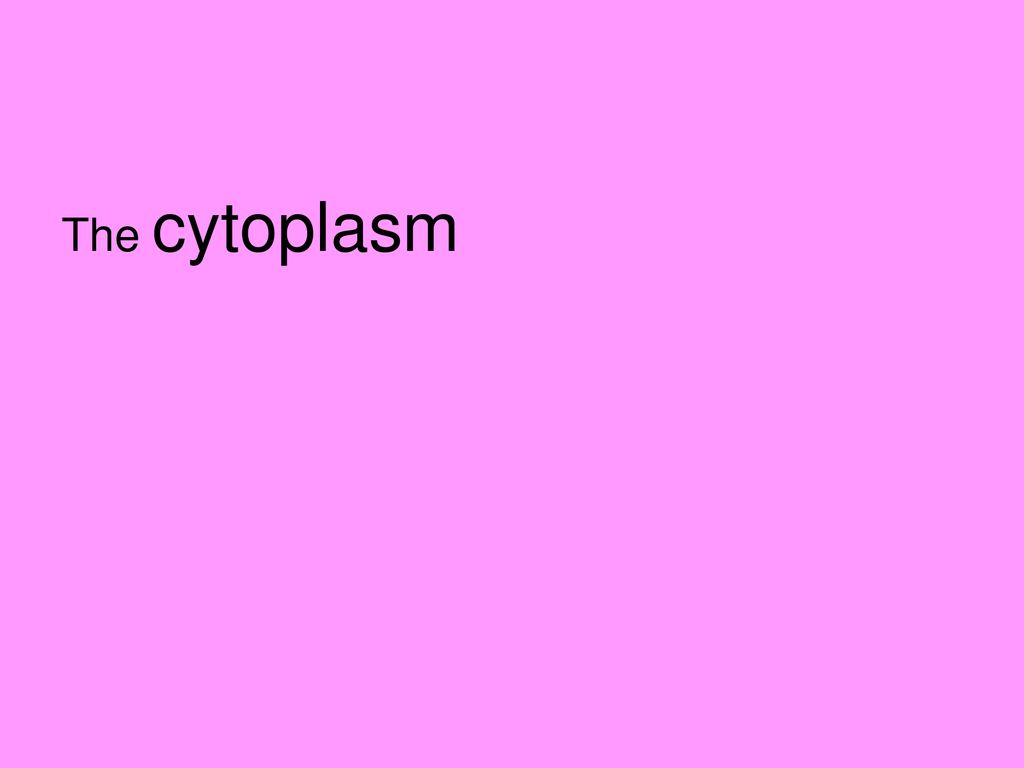 Photosynthesis questions ppt download