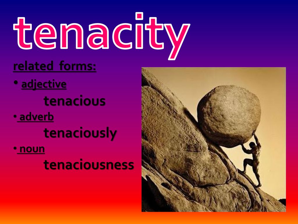 Tenacious Definition