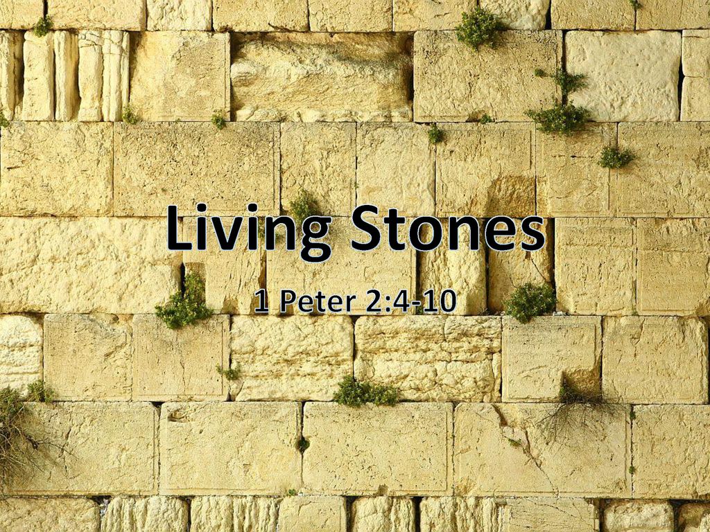 Living Stones 1 Peter 2 Ppt Download living-stones-1-peter-2-ppt-download
