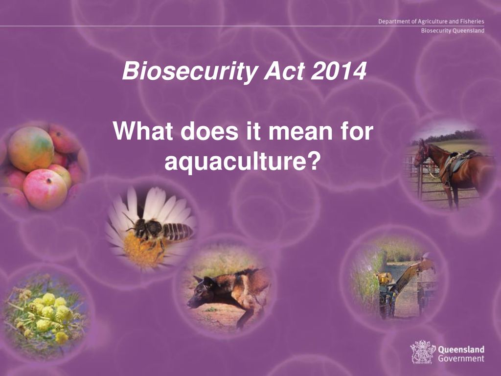 Biosecurity Act 2014 What does it mean for aquaculture