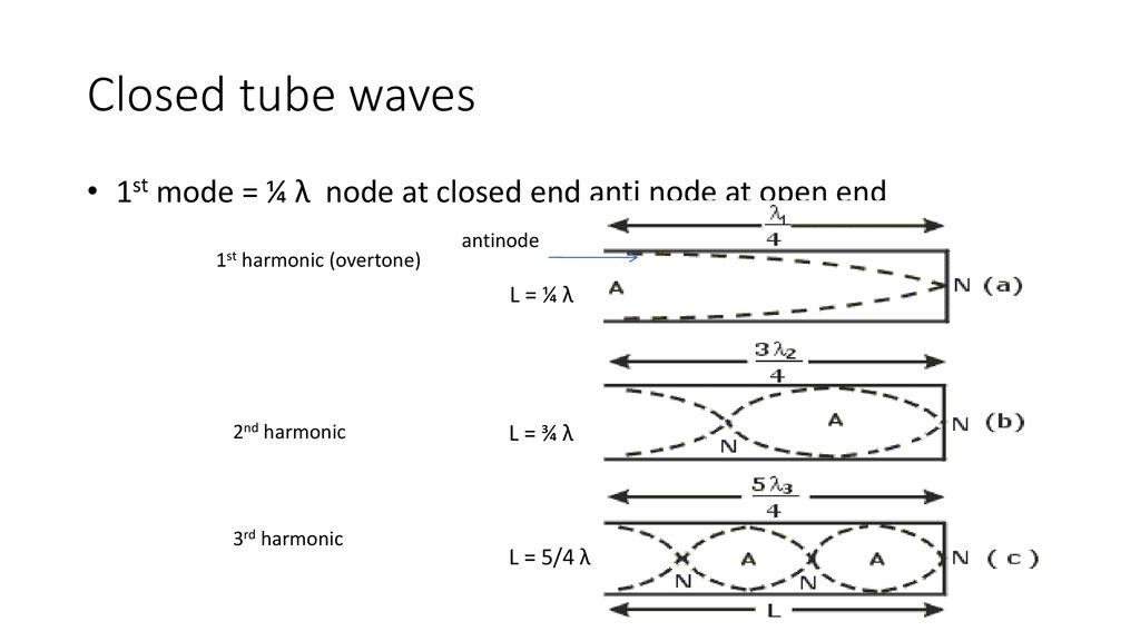 Sound Waves And You Ppt Download
