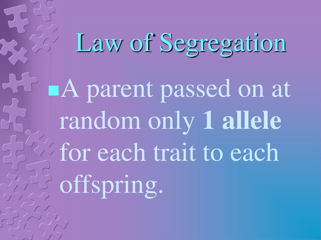 Law of Segregation A parent passed on at random only 1 allele for each trait to each offspring.