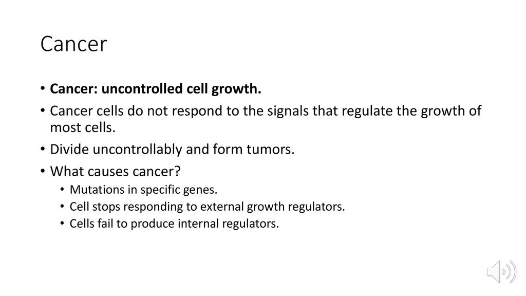 Regulating the Cell Cycle Biology Diagrams