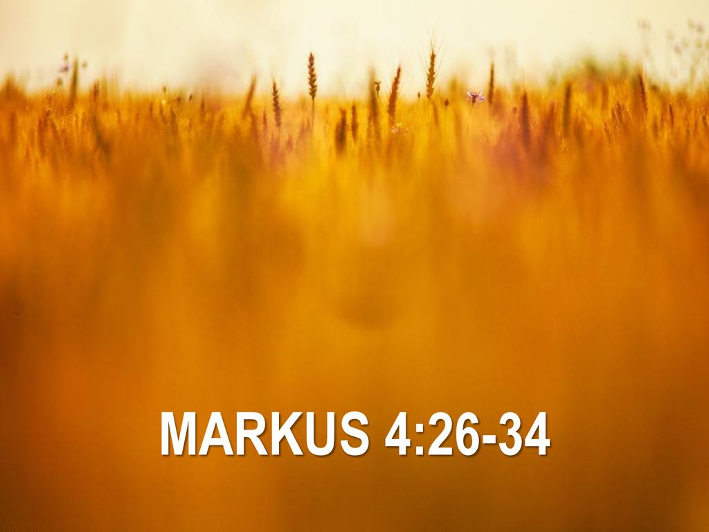 Markus 4 26-34