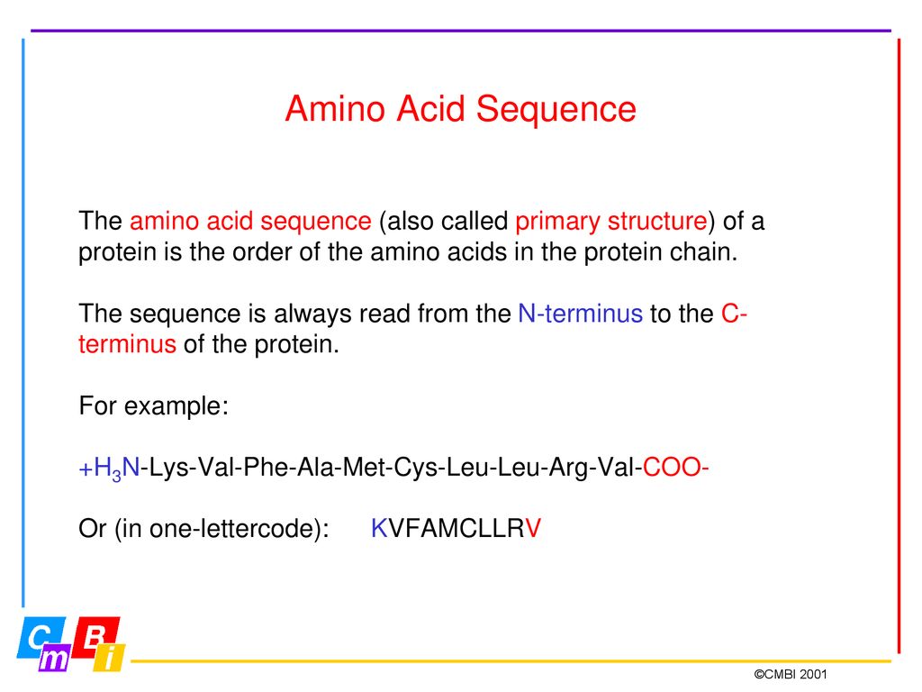 When you understand the amino acids, - ppt download