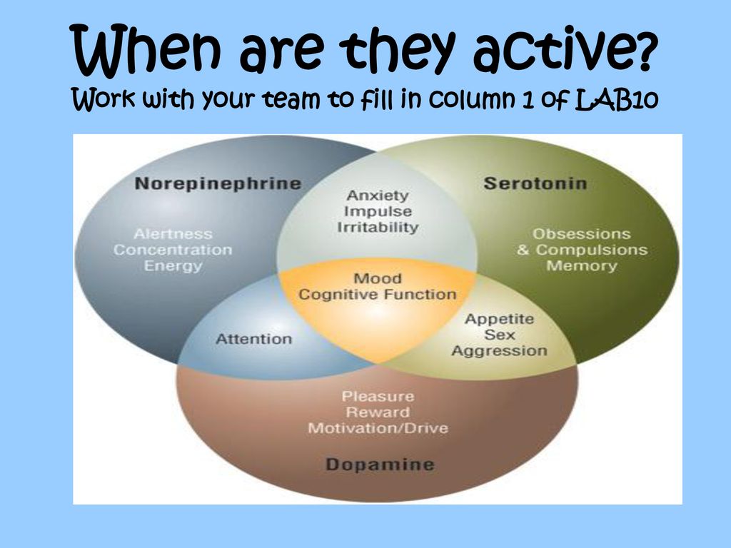 When are they active Work with your team to fill in column 1 of LAB10