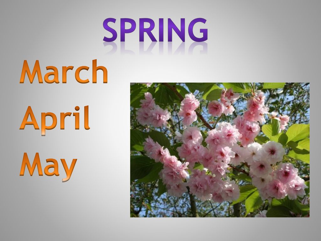 Spring с английского на русский. Месяца весны на английском. Spring месяцы.