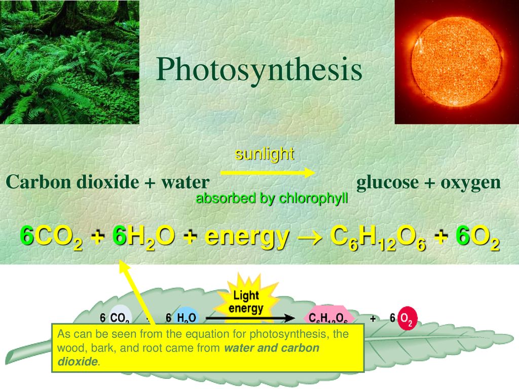 Фотосинтез на английском. Photosynthesis h2o. Oxygen Carbon dioxide. Carbon dioxide in Water. Глюкоза кислород вода энергия