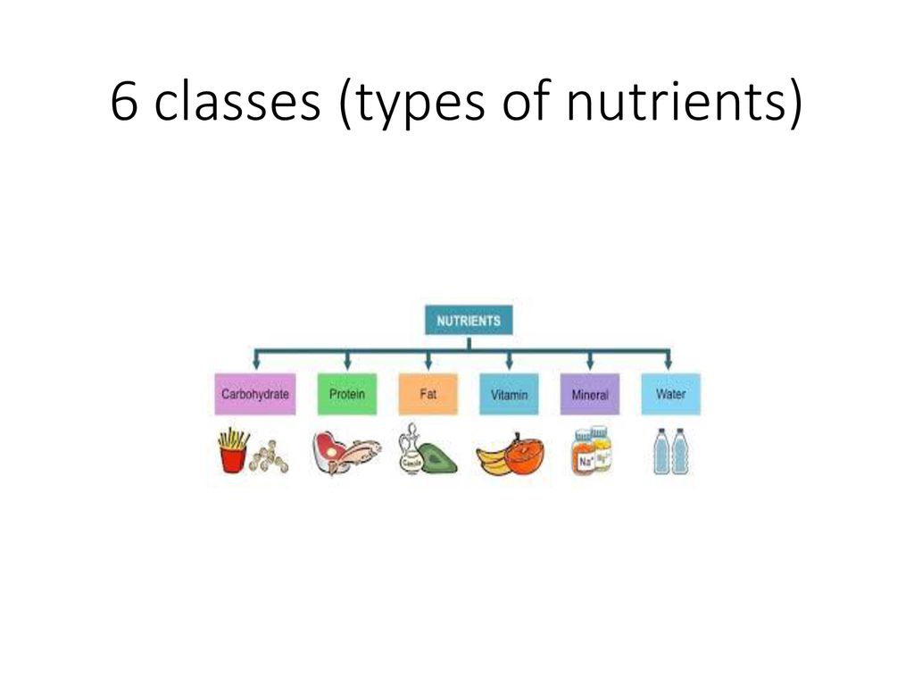 chapter-5-eating-well-ppt-download