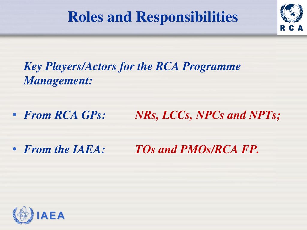 Roles And Responsibilities Ppt Download