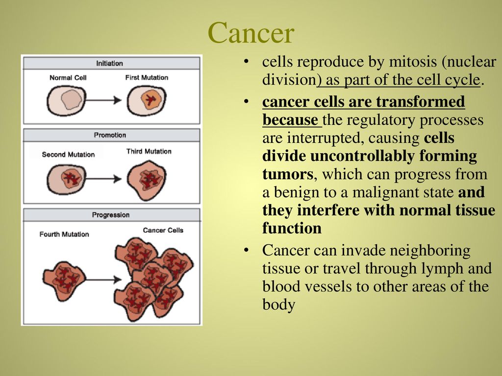 changes that occur to genes that result in medical conditions. Biology Diagrams