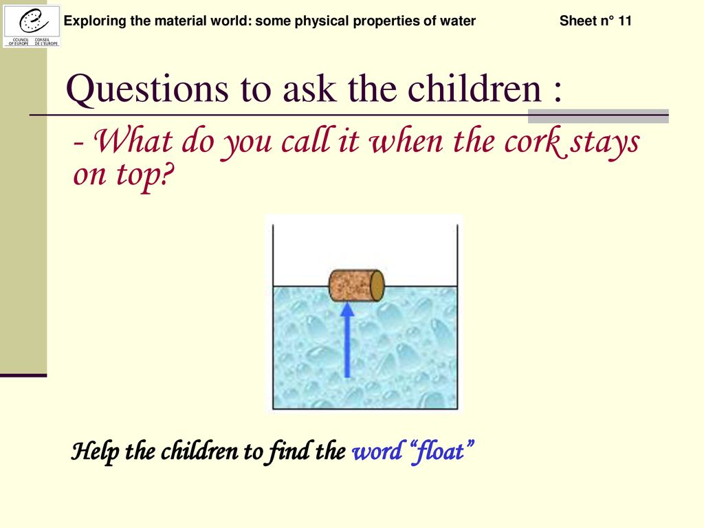 Questions to ask the children :