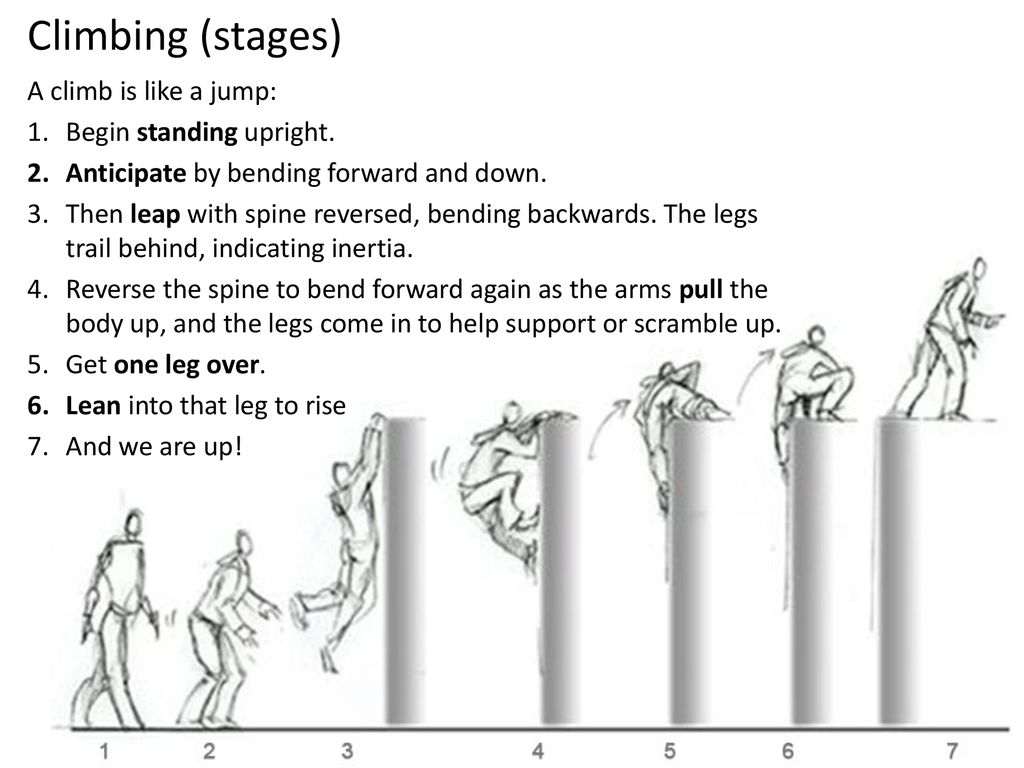 DGMD S-44 Introduction to 2D Animation - ppt download DGMD S-44 Introduction to 2D Animation - ppt download