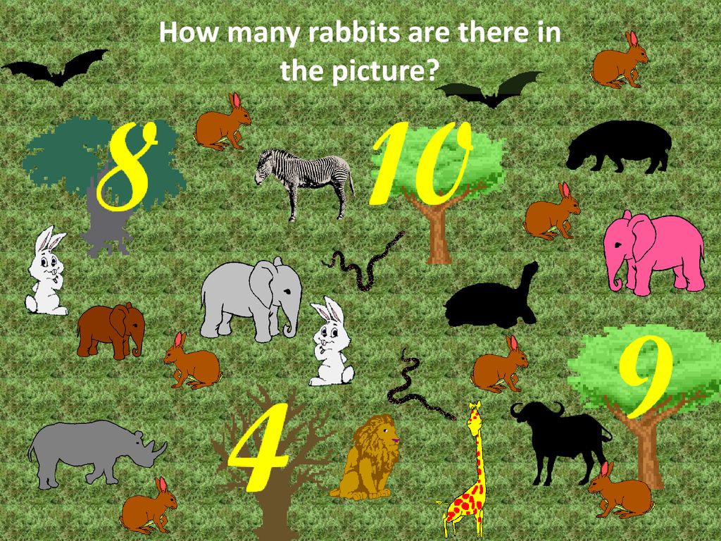 How many animals live. How many are there. There is/are животные. How many картинки для детей с животными. How many animals are there.