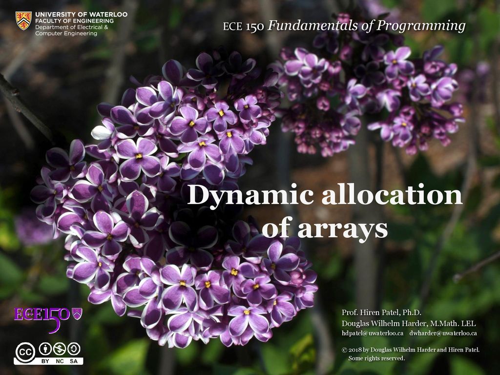 Dynamic allocation of arrays - ppt download image.
